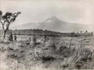 Landschaft mit Kilimandscharo : Die Landschaft in der Umgebung des Kilimandscharo. Im Hintergrund erhebt sich der Mawenzi