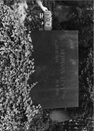 Grabstein 107 (Index: 99790541) Maße HxBxT: 104x38x20 cm Besonderheit: Doppelgrab, zweite Hälfte nicht belegt: Grabstein 107