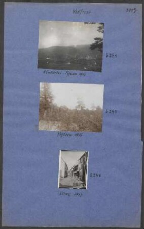 Vogesen 1916