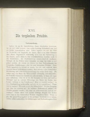 XVI. Die tropischen Früchte