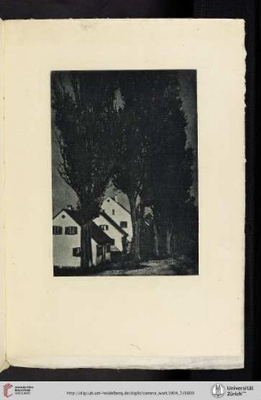 [Theodor and Oscar Hofmeister, II. Dachau, photogravure from original gum print]
