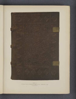 Plate VI.