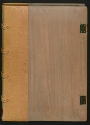 La divina commedia : Ms. Ham. 203