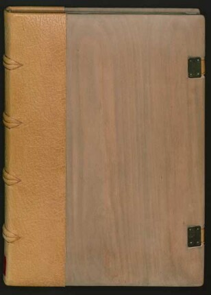 La divina commedia : Ms. Ham. 203