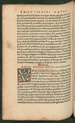 Paean Virgini Matri Dicendus