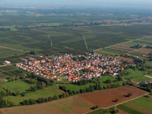 Venningen (Pfalz)