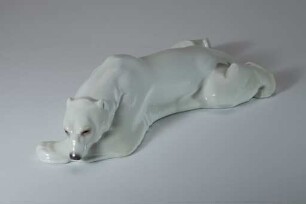 Liegender Eisbär