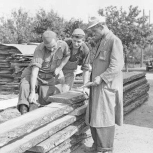 Holzlager in Byhleguhre. : Skład drjewa w Běłej Górje.