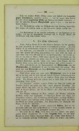8. Die Eiche (Quercus)