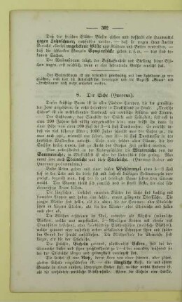 8. Die Eiche (Quercus)