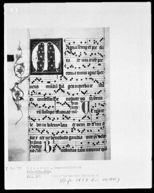 Antiphonale — Initiale M, Folio 113 recto