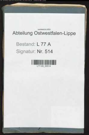 Anstellung des Zimmermanns Ernst Kuhlemann aus Wöbbel als Amtsdiener und Exekutor beim Amt Brake