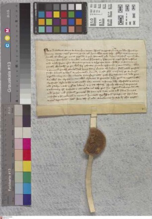 Hainer Hof: Ludewici Comitis de Renechen ratificatio compositionis inter abbatem et conventum Monasterii Ste. Albani prope mu .... Mogunt. a quibu...