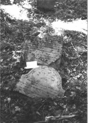 Grabstein 698 (Index: 99900503) Material: Sandstein Zustand: stark verwittert, Abbrüche, Stele ist durchgebrochen, Oberteil liegt Maße HxBxT: 106x63x9 cm Beschreibung: Stele mit Konvexbogenabschluss, durchgebrochen, Stücke liegen bzw. stehen schräg: Grabstein 698