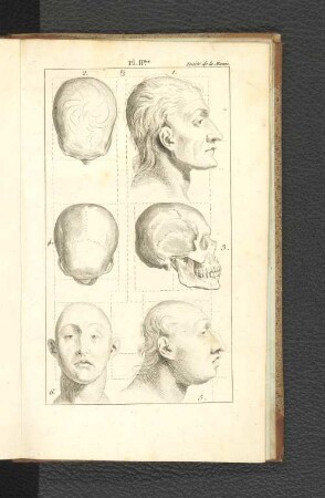 Pl. II.