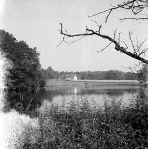 Tralau: Herrenhaus: Park: Teich: vorn Stauden: links und rechts Bäume: hinten Haus und Wald