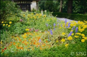 Potsdam, Neuer Garten, Schloss Cecilienhof, Blumenbepflanzung.