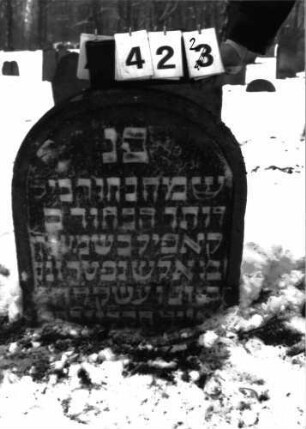 Grabstein 423 entfällt: 423 = 422: Grabstein 423