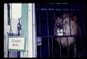 Circus Hagenbeck 16.4.61.