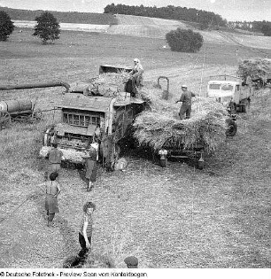 Landwirtschaftliche Produktionsgenossenschaft (LPG) Berbisdorf (Versammlung, Kühe, Feldarbeit)