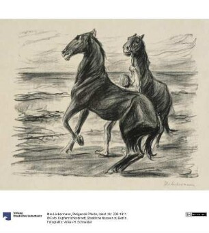 Steigende Pferde