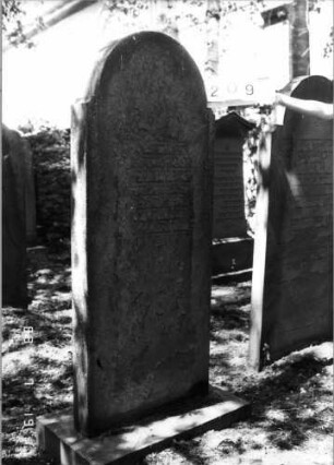 Grabstein 209 (Index: 100094399) Material: Sandstein Zustand: stark verwitt, fast völliger Textverlust Maße HxBxT: 171x70x12 cm Beschreibung: Stele, Sockel, eingezogener Rundbogenabschluß: Grabstein 209