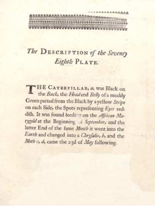 The Description of the Seventy Eighth Plate