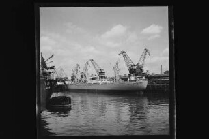 Windhuk (1953)