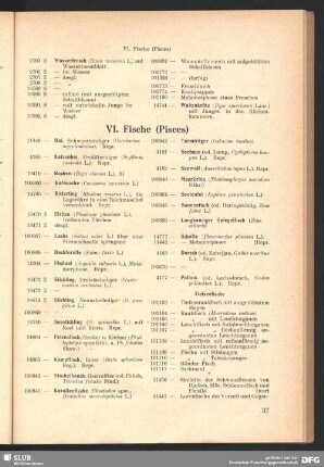 VI. Fische (Pisces)