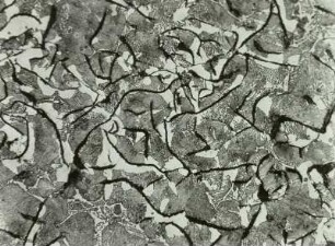 Grauguss, Schliffbild