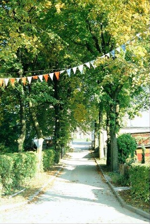 Allee an einer kleinen Verbindungsstraße innerhalb des Ortskerns