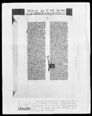 Biblia latina — Initiale N (emo), Folio 305 verso