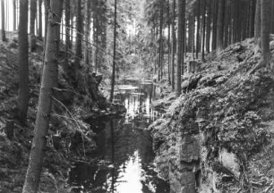 Schwarze Pinge : Die schwarze Pinge, ein Einbruch durch Altbergbau nördlich von Eibenstock