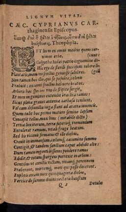Lignum Vitae.