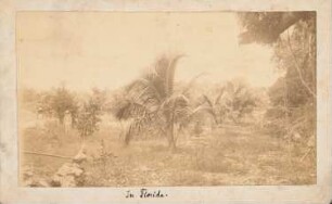 Coconut Grove St. Sebastian River, Fellsmere: Ansicht