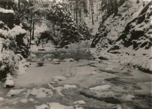 Dresdner Heide. Prießnitz-Wasserfall bei Klotzsche. Winterbild
