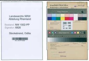 Entnazifizierung Odilia Stockebrand , geb. 02.11.1884 (Hausfrau)