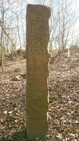 Verbotsstein; Rockenberg, Auwald