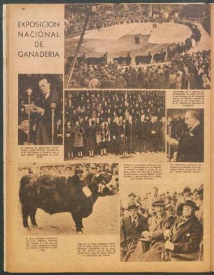 Exposición Nacional de Ganadería [Fotografías]