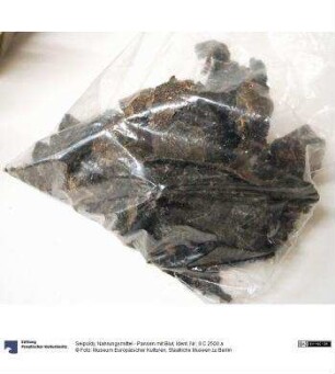 Nahrungsmittel - Pansen mit Blut