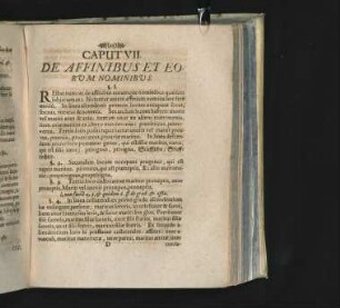 Caput VII. De Affinibus Et Eorum Nominibus.