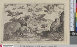 [Zwei Eulen und fliegende Vögel; Two Owls anf flying Birds]