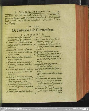 Cap. XVII. De Tutoribus & Curatoribus