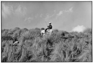 Guatemala. Reiter