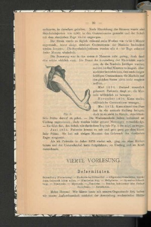 Vierte Vorlesung.