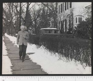 Porträtaufnahme Albert Einstein