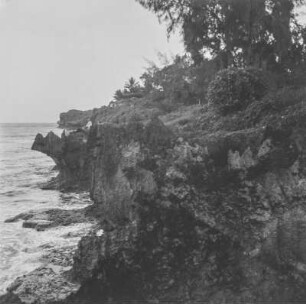 Korallenriff : Blick entlang der Korallenküste von Mombasa