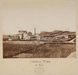 Scheibel´sche Brauerei in Kiel.