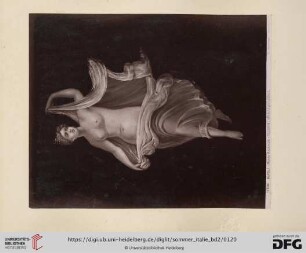 No. 11506 Napoli - Museo Nazionale - Baccante; affresco pompejano