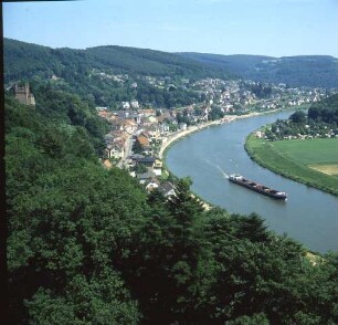 Blick auf Neckarsteinach und den Neckar